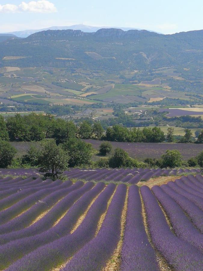 Hotel Mas En Baronnies Provencales Eygaliers  Esterno foto