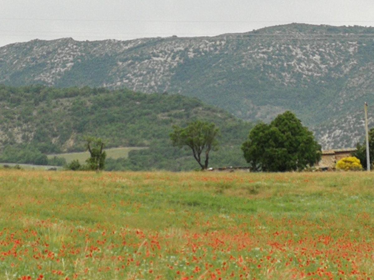 Hotel Mas En Baronnies Provencales Eygaliers  Esterno foto